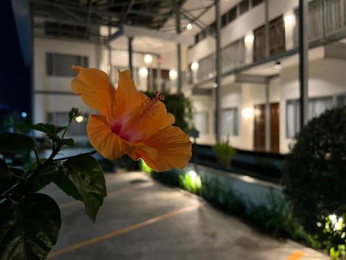 3B Boutique Hotel &amp; Restaurant
