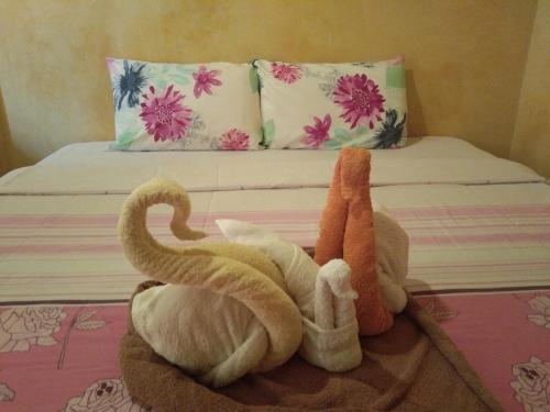 ACER guesthouse
