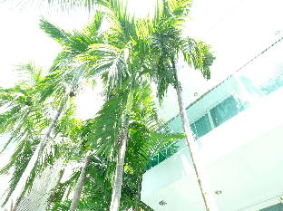Amazon Residence Pool Access Room B2-117