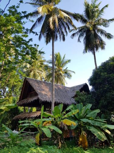 Antonio&#039;s Ko Yao Noi