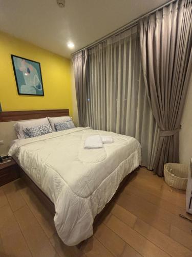 Astra Bee friend Chiangmai