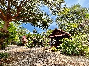 At tree resort - แอททรี รีสอร์ต บ้านกรูด