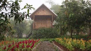 Baan Tonrak