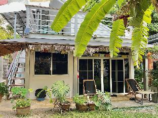 Beach Jungle 2 Bedroom House