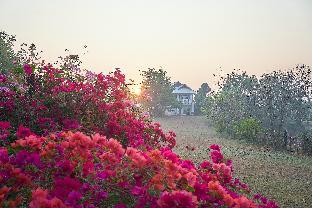 Beautiful white house