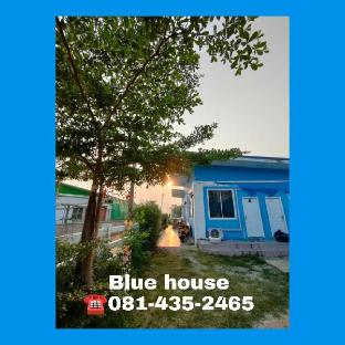 Blue House A3