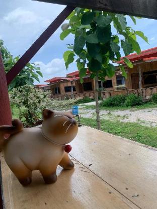 Brand new wooden tiny house in Phayao (Faknum)