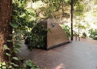 Brown tent