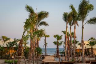 CAMP CAYLA - COASTA