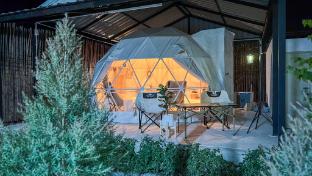Camping Land