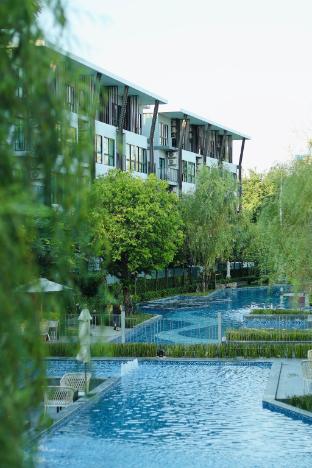 Chiangmai Arise Pool View Room