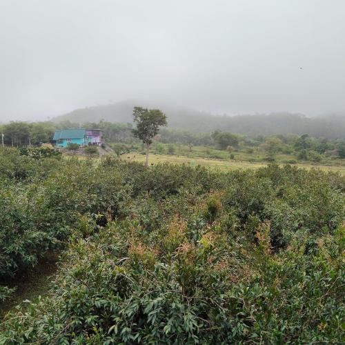 Chomview Hut