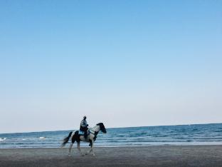 CityCenter, villa, within 10 mins walking to beach