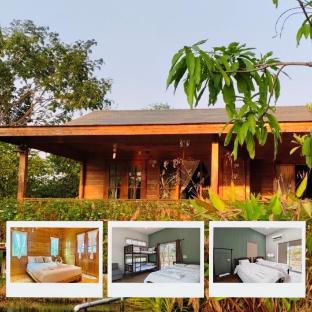 Coco and Canal HomeStory