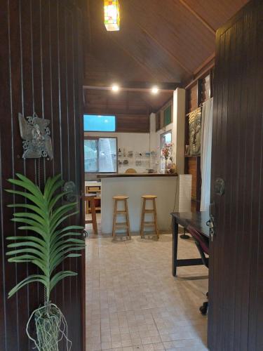 Coconut lane house 2