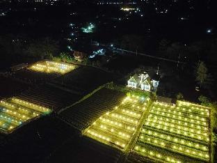 Countdown  Flower Farm Stay