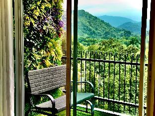 Courtyard KhaoYai