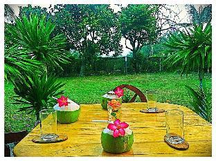 Din - D House @Din Thai Organic Farm