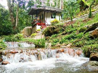 Doilia Homestay
