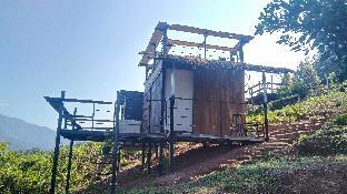 DoiPuKhum (ดอยภูคำเมฆหมอก)Nan Province