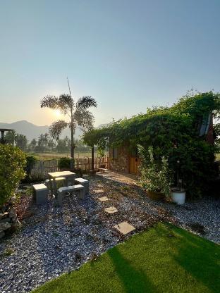 Driftwood &amp; Jolie Cottages