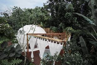 Fairest Domestay