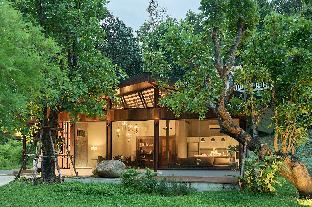 Firefly Lodge by the Creek