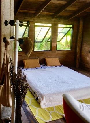 Forest Forest Barn