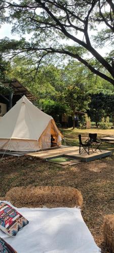 Glamping tent fan room