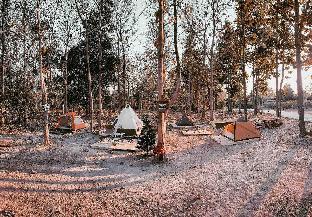 Godung Yaan 369 Alien Teak Woods Magic Camping