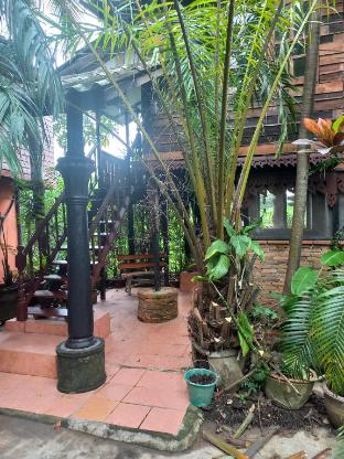 guest house in the palms chiang mai