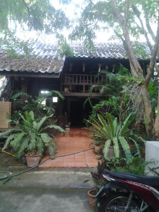 guest house in the trees