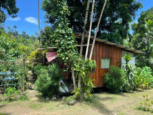 Happy Hippy House7
