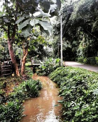 Home Homestay. Experience natural living