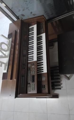 HOSTEL 24 BACKPACKERS