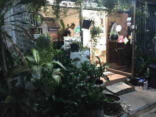 hostel24