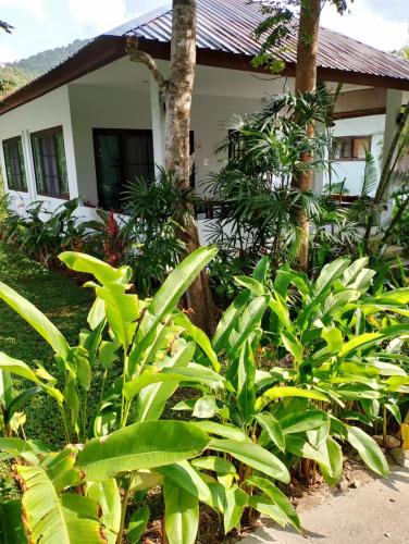 House 1