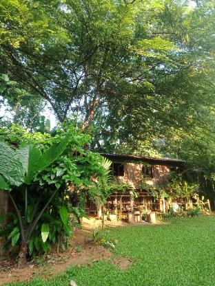 Hug Pangmao Homestay