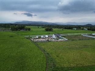 Infield view na