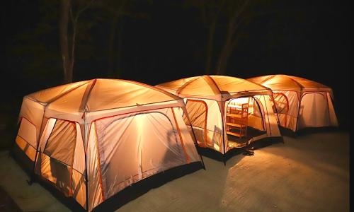 Joy Camping