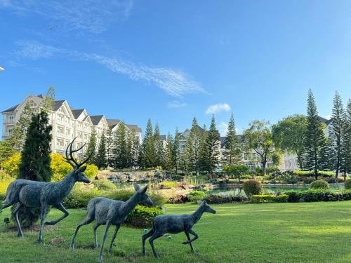 Khaoyai Tiew Khao Family Room 2to4 People B02