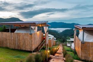 Koya Homestay