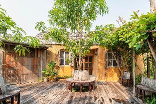 Leafy Greens Chiangmai : Peanut House