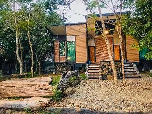 Licuala Chanthaburi - Licula Chanthaburi (B1)