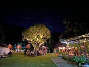 Lion Cafe Resort