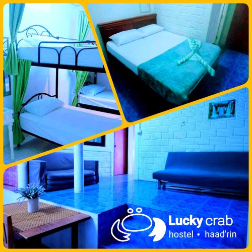 Luckycrab Hostel