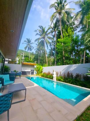 Luxury private pool villa