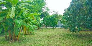 M GuestHouse