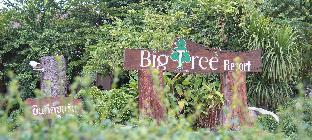 Maiyai Resort - Big Tree