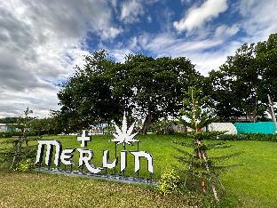 Merlin hut and farm